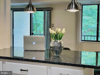 7425 Democracy Blvd unit 205, Bethesda, MD 20817 - photo 4