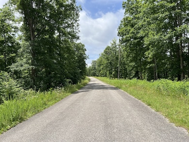 0 Slaughter Rd unit RTC3017612, Primm Springs, TN 38476 - photo 4