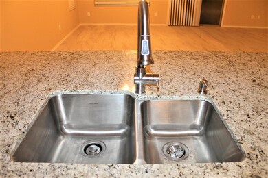 New Kitchen sink, faucet & disposal!