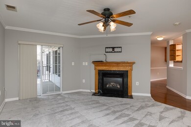 6502 Ridenour Way E unit 3A, Sykesville, MD 21784 - photo 3