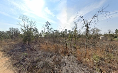 Fort Mc Coy unit FL 32134, Fort McCoy, FL 32134 - photo 3