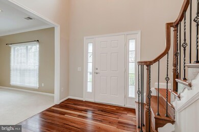 7105 Green Spring Ln, Alexandria, VA 22306 - photo 2