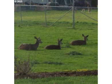 6553 Rippling Brook Dr SE, Salem, OR 97317 - photo 6