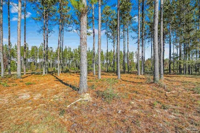 1421 Mineral Springs Rd, Jay, FL 32565 - photo 4