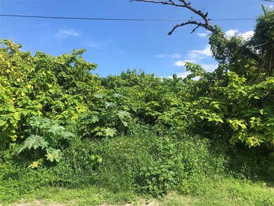 2620 NW 20th Ave, Oakland Park, FL 33311 - photo 3