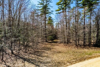 9-22 Narrows Rd, Barnstead, NH 03225 - photo 6