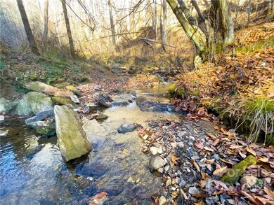 TBD Bradford Rd, Ramseytown, NC 28714 - photo 4