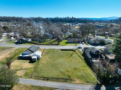 1009 E Main St, Johnson City, TN 37601 - photo 6