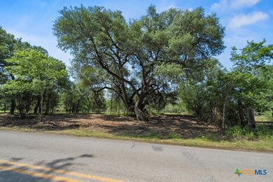 Lot 16