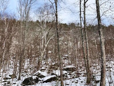 Lot 10 Tamarack Trail, Camden, ME 04843 - photo 5