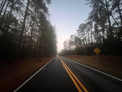 000 S Rock Island Dr, Eatonton, GA 31024 - photo 3