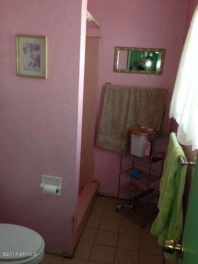 photo 1 (4)