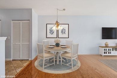 965 Rogers St unit 202, Downers Grove, IL 60515 - photo 5