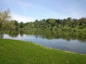 IMG_20150513_133603