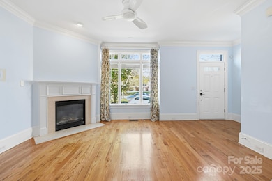 329 Spring St, Davidson, NC 28036 - photo 5