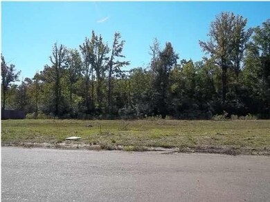 Lots of trees for privacy