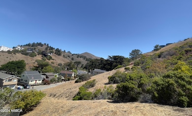 Lot View