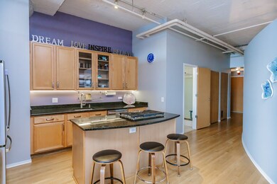 Dearborn Tower unit 917, Chicago, IL 60605 - photo 7