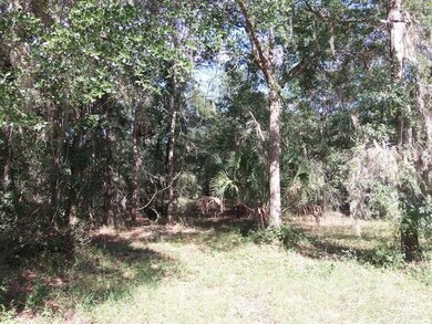 Lot 249 Coopers Landing Dr NE, Shellman Bluff, GA 31331 - photo 7