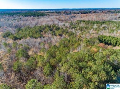 1374 E Highway 280 E unit 1374, Alexander City, AL 35010 - photo 7