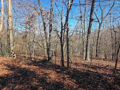 L11,B5 Wasatch Trail, Cherokee Village, AR 72529 - photo 5