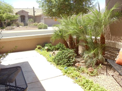 Lush Landscape in Courtyard