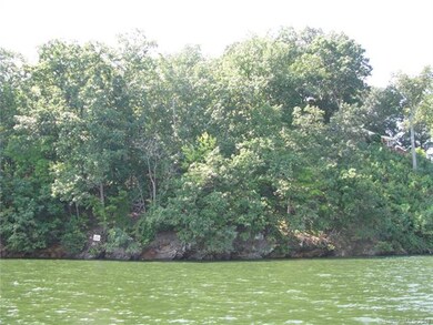 View of the back of the lot heavily wooded.