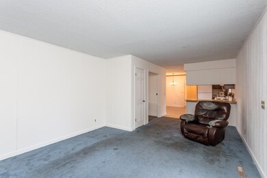 80 Middlebrook St, Harrisonburg, VA 22801 - photo 7