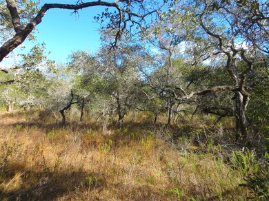 1078 Indian Cir, Altair, TX 77442 - photo 6