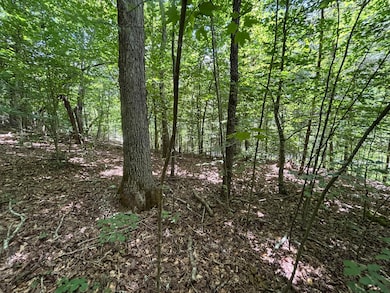 Photo Jul 18 2025, 1 22 43 PM