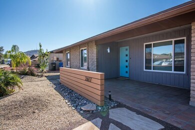 Wood - 2617 (4)