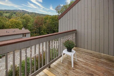 17 Snow Tree Ln unit I- Ledges, Dover, VT 05356 - photo 3