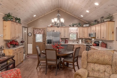 337 Branch Creek Rd, Blue Ridge, GA 30513 - photo 6