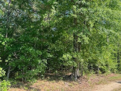 0 Raehyo Ln, Folsom, LA 70437 - photo 4