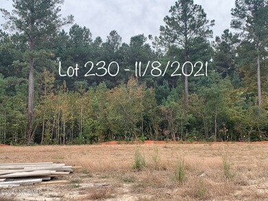 1036 Mackerel Manor, New Bern, NC 28562 - photo 5