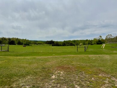 568 Alexander Rd, Vanderbilt, MI 49795 - photo 4