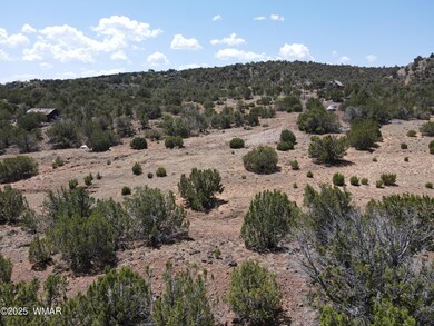 5 County Rd unit 8095, Concho, AZ 85924 - photo 7