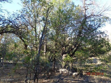 Mature shade trees