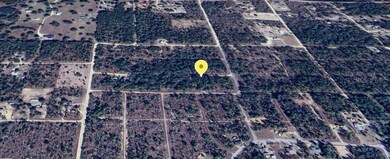 tbd NE 16th Place, Williston, FL 32696 - photo 3