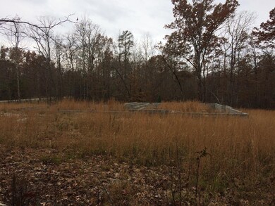 0 Wallace Way unit 1101334, Grimsley, TN 38565 - photo 5