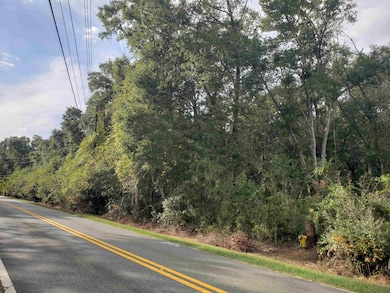 0 Lonnie Rd unit 392431, Tallahassee, FL 32308 - photo 6