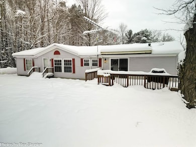 7830 Jefferson St, Hesperia, MI 49421 - photo 2