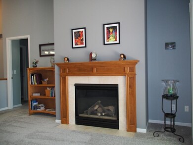 One of Two Fireplaces