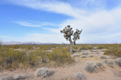 Lone Ranger Rd - 4