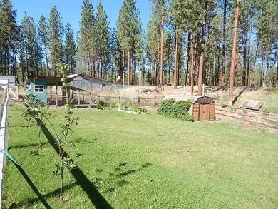 02 Back yard Chicken coop