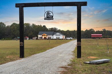 2595 Elko Rd, Elko, GA 31025 - photo 2