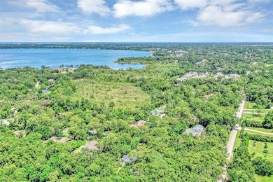 Drone shot overhead with Lake Upper Left and Downtown Mt. Dora Middle Top