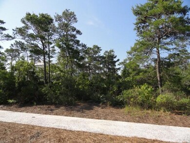 Lot D10 N Near Butterwood Aly, Alys Beach, FL 32461 - photo 7