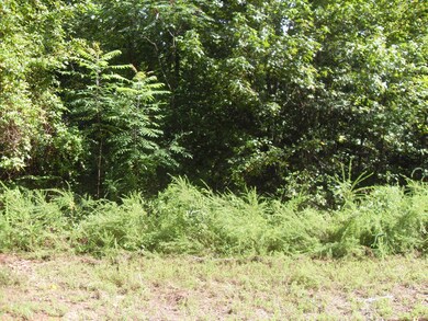 005 Loblolly Ln, Tunnel Hill, GA 30755 - photo 6