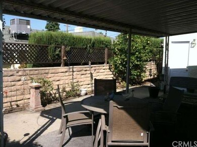 Backyard view with orange tree.